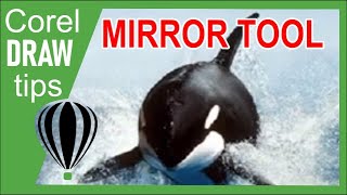 Mirror effect in CorelDraw [upl. by Swetlana199]