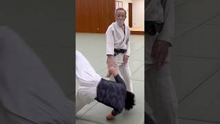 腰の回転Hip rotationaikido martialarts aikidotechniques combatsport fightingsport 合気道 [upl. by Suchta]