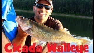 Seibert Lake Walleye Fishing Blade Baits by Cicada [upl. by Ydac]