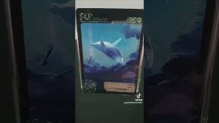 SCP1608 is a Balaenoptera musculus or blue whale scpfundation scp mrcartoon cards scptcg [upl. by Lirbaj]