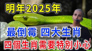 明年2025年最倒霉四大生肖！2025這四個生肖要小心了！再忙再有錢也要看看！ [upl. by Artur]