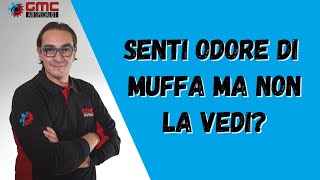 Senti odore di muffa ma non la vedi muffa [upl. by Jemy]