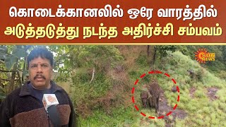 Kodaikanal  Wild Elephant Conditions  Tamil Nadu Forest Department  Sun News [upl. by Niawtna]