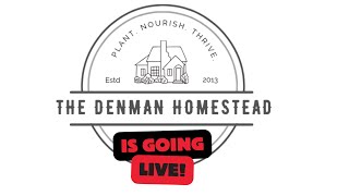 The Denmans Are Going Live 6pm CST [upl. by Yim]