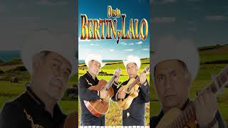 El Florero BERTIN Y LALO  Puros Corridos Viejitos Mix puroscorridos duetobertinylalo [upl. by Levitan968]