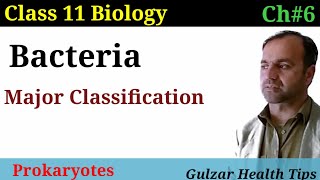 Bacteria  Its Major classification  types of bacteria  class 11 biology [upl. by Toy316]