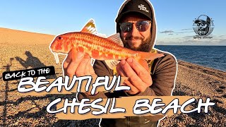 Back To The Beautiful Chesil Beach  Fishing The Mighty Chesil 🎣 [upl. by Sheffy]