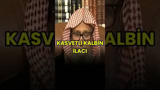 📌Soru Kasvetli kalbin ilacı nedir 👤 Şeyh Salih al Fevzan hafizehullah [upl. by Chad8]