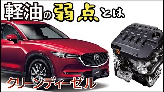 軽油は凍る！？ディーゼル車でやってはいけないこと3選！意外と知らない注意点 [upl. by Lisbeth]