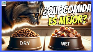 🔴 ¿QUE ES MEJOR COMIDA SECA PIENSO O HÚMEDA LATAS PARA GATOS 🔴 [upl. by Caro]