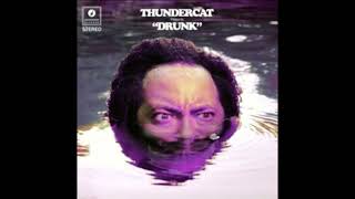 Thundercat  Them Changes Slipped N Dripped aka Chopped and Screwed by DJ AI SNDA SNDR [upl. by Millman269]