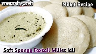 राळ्याची इडली l Soft Spongy Foxtail Millet Idli l Millet Recipe In marathi foxtailmilletidli [upl. by Sitra]