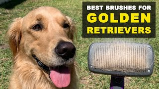 2 Best Brushes For Golden Retrievers That Shed A Lot [upl. by Hgielek470]