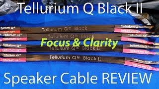 Tellurium Q Black II Speaker Cable REVIEW  Focus and Clarity Champagne Sound Lemonade Money [upl. by Egbert]