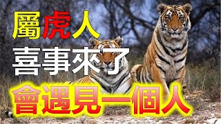 2024生肖運勢，十二生肖生肖虎：隨著運勢好轉，屬虎人事業能和財運兩相合，喜事聞聽在耳！屬虎人在這個充滿希望的季節裡，我們的生肖虎也將迎來他們的好運時刻。生肖虎的朋友們，屬虎人的運勢正在好轉，（生肖） [upl. by Marilyn]