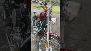 Warmed up for transmission oil change harleydavidson sportster1200 harley [upl. by Jerrilee871]