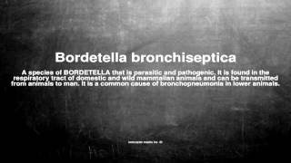 Medical vocabulary What does Bordetella bronchiseptica mean [upl. by Mannie]