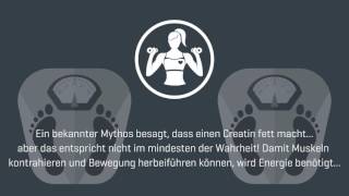 Das Myprotein Supplement Handbuch  Creatin und Creatin Monohydrat [upl. by Notelrahc]