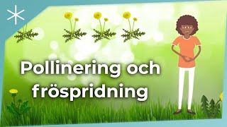 Pollinering och fröspridning [upl. by Cristal874]