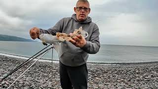 Dongle Fishing at Bossington Bristol Channel [upl. by Gabriele]