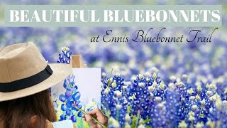 The Most Beautiful Ennis Bluebonnet Trail  Painting Bluebonnets [upl. by Karalee]