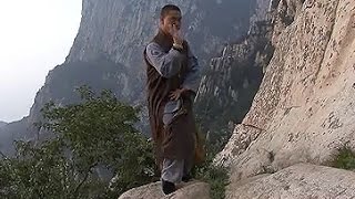 Shaolin Kung Fu Combat Styles 2 big Buddhas 18 hands 罗汉十八手 luohan shiba shou [upl. by Darda468]