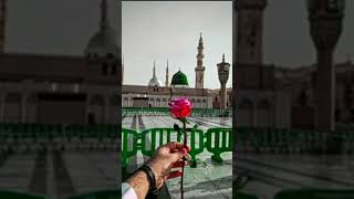 Wo madina jo pare nabi ka ghar h💚💚💚 [upl. by Uaerraj]