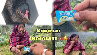 Koku laii chocolate 🍫 Diyeko 😊  ghai ko chaklet re 🥰 ​⁠biberai [upl. by Yahsat]