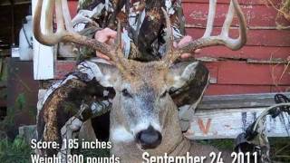 THE BIGGEST WHITETAIL HARVEST EVER CAPTURED ON A TRAIL CAMERA [upl. by Joshuah818]