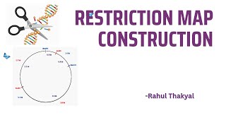 CONSTRUCTION OF RESTRICTION MAPS  ZOOLOGY  BIOTECHNOLOGY [upl. by Atinot141]