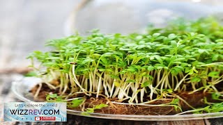 SproutsMicrogreens Cress – Seeds Review [upl. by Owen]