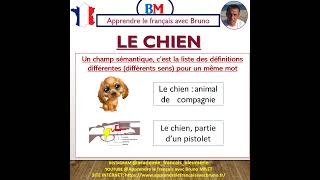 VOCABULAIRE  RICHESSE LEXICALE  champ sémantique chien [upl. by Eehsar245]