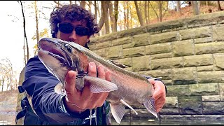 First Time Fly Fishing For Great Lakes Steelhead [upl. by Bartley525]