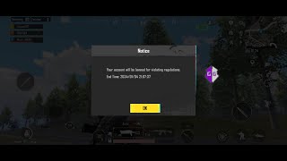 GameGuardian 2024 PUBG Hackers BANNED Instantly 🚫😱 MustWatch  Unlimited Ammo hack  BGMI [upl. by Adehsar385]