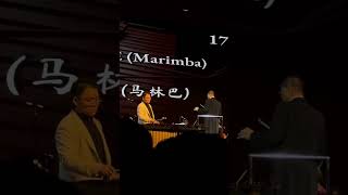 JS Bach Violin Concerto No2 BWV 1042 First Movement Transcribed for Marimba Aries Chin [upl. by Marta]