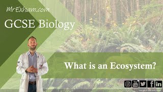 What is an ecosystem  GCSE Biology 91  91 [upl. by Aniale]