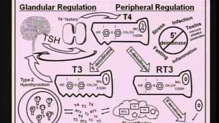 Epigenetics Modern Day Lifestyle and Your DNA [upl. by Hasty]