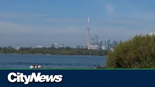 The creepy creatures destroying fish in our Lakes [upl. by Biron]