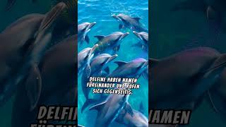 🐬 Geheimnisse der Delfine 🌊💙 facts [upl. by Balliett11]