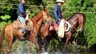 Rancho El Capire Col Cuauhtémoc Oaxaca [upl. by Nomannic755]