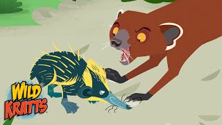 Creature Battles  Every Creature Showdown Part 18  New Compilation  Wild Kratts [upl. by Ecirtemed676]