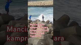 ikan kampret mak lampir maklampir mancing pantaicongot [upl. by Aileek]