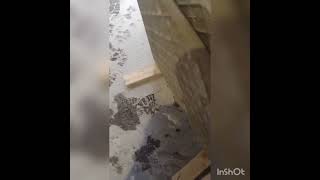 Polishing a bullnose for a finer finish bullnose porcelain garden homeimprovement [upl. by Eromle]