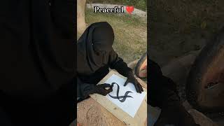 Unique calligraphy ideas satisfyingart islamiccalligraphy [upl. by Elery299]