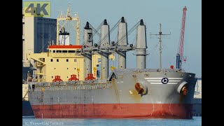 LUCKY VOYAGER  Shipspotting Germany 🇩🇪 IMO 9393632  River Weser near City Brake Unterweser  4K [upl. by Llywellyn]