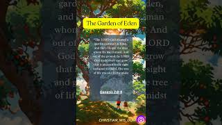 The Garden of Eden shorts [upl. by Plafker]