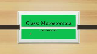 class Merostomata [upl. by Chin]