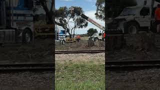 TRAINS AM22 Fleurieu Peninsula Cranes move the ESV bogies at Goolwa SteamRanger Depot 161024 [upl. by Miarzim]