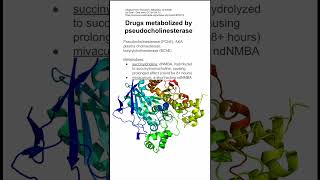 Drugs metabolized by pseudocholinesterase [upl. by Gayla624]