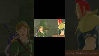 Brother bond 💪 LegendOfZelda LoZ Link Groose SkywardSword Shorts [upl. by Zanas783]